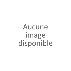 Jean ceinturé femme stone